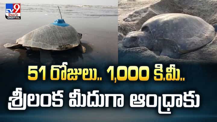 51 రోజులు.. 1,000 కి.మీ.. శ్రీలంక మీదుగా ఆంధ్రాకు వీడియో 51 రోజులు.. 1,000 కి.మీ.. శ్రీలంక మీదుగా ఆంధ్రాకు వీడియో