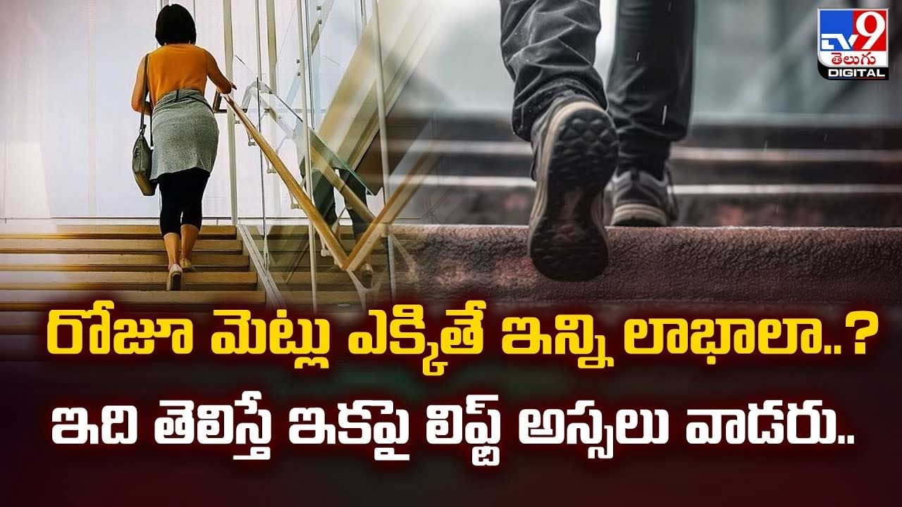 రోజూ మెట్లు ఎక్కడ వలన ఎన్ని లాభాలో తెలుసా? వీడియో
