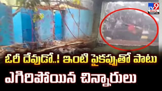300 కార్లు.. 38 విమానాలు.. ఇది కదా రాయల్ లైఫ్ అంటే వీడియో