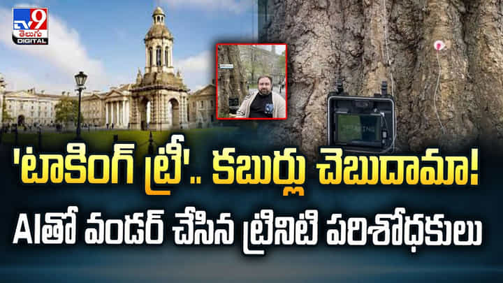 'టాకింగ్ ట్రీ'.. కబుర్లు చెబుదామా! AIతో వండర్ చేసిన ట్రినిటి పరిశోధకులు 'టాకింగ్ ట్రీ'.. కబుర్లు చెబుదామా! AIతో వండర్ చేసిన ట్రినిటి పరిశోధకులు
