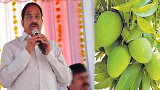 Watch: అర్ధరాత్రి ఊరికి వణుకు పుట్టించిన అనుకోని అతిథి.. ! సీసీ కెమెరాల్లో రికార్డైన షాకింగ్‌ దృశ్యాలు చూస్తే..