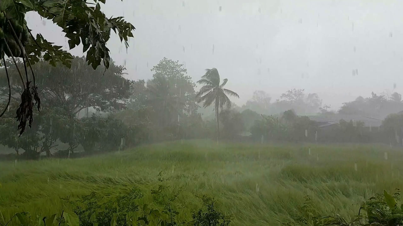 ఇక రాష్ట్రవ్యాప్తంగా వర్షాలు కురుస్తున్న నేపథ్యంలో వాతావరణ శాఖ ప్రజలను అప్రమత్తం చేసింది. రాష్ట్రంలో భారీ ఈదురుగాలులతో కూడిన వర్షాలు కురువనుండడంతో ప్రజలు తగిన జాగ్రత్తలు తీసుకోవాలని వాతావరణ శాఖ హెచ్చరికలు జారీ చేసింది.