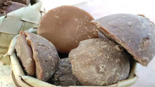 Ridge Gourd: వామ్మో బీరకాయ తినడం వల్ల బోలెడన్నీ బెనిఫిట్స్‌.. వదిలిపెట్టొద్దు!