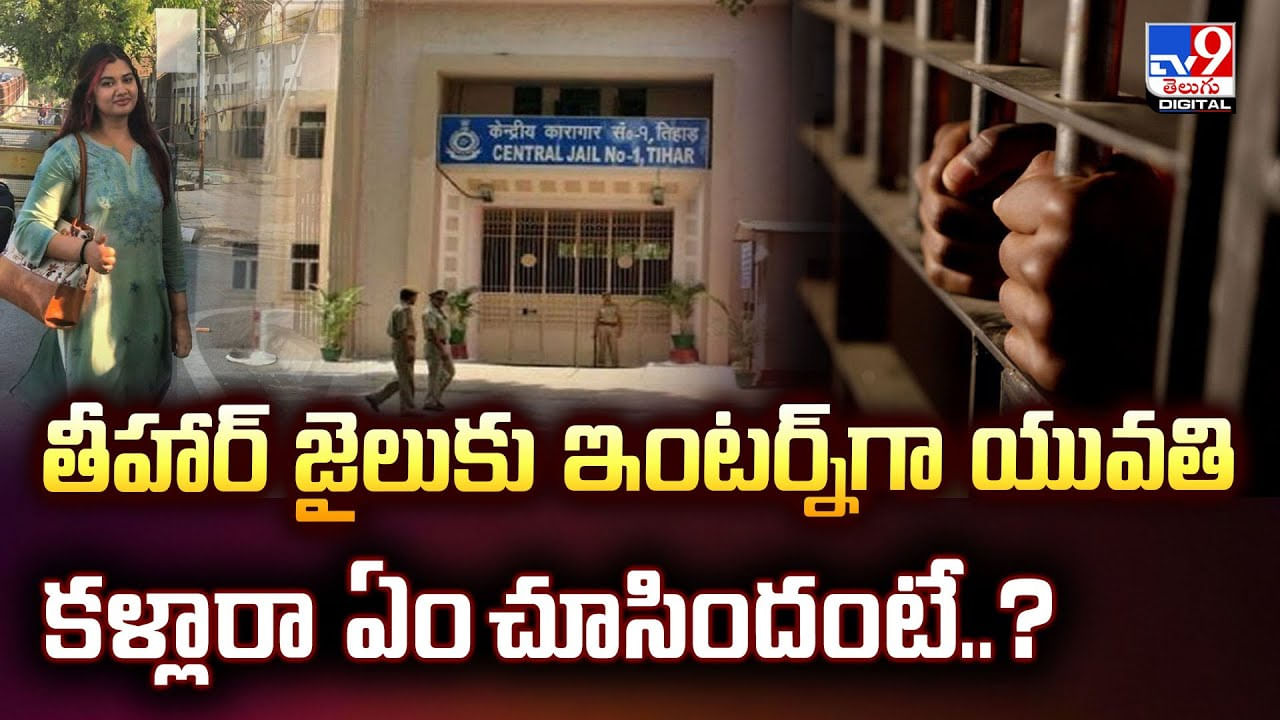 తీహార్‌ జైలుకు ఇంటర్న్‌గా యువతి కళ్లారా ఏం చూసిందంటే..?వీడియో
