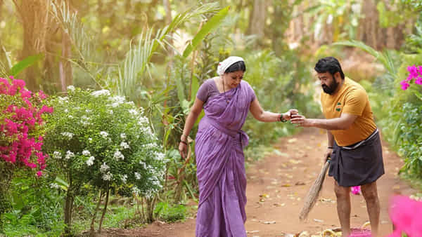 Tollywood: 50 కోట్లతో నిర్మిస్తే.. 224 కోట్ల కలెక్షన్స్.. థియేటర్లలో సంచలనం.. ఎక్కడ చూడొచ్చంటే..