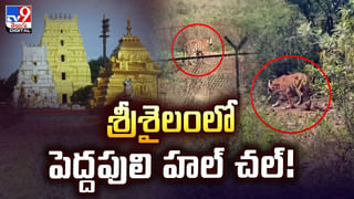 మీ చర్మ సౌందర్యాన్ని రెట్టింపు చేసుకోండి ఇలా