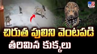 షార్ట్ సర్క్యూట్ జరగకుండా.. తీసుకోవాల్సిన జాగ్రత్తలివే : రిటైర్డ్ ADE తుల్జా రామ్ సింగ్ వీడియో