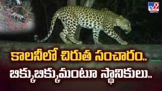 కస్టమర్‌ను చితకబాదిన జెప్టో డెలివరీ బోయ్‌.. ఎందుకో తెలిస్తే వీడియో