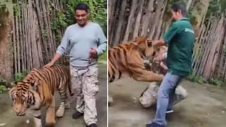 Viral Video: ఏకంగా పాముతోనే థియేటర్లోకి ఎంట్రీ ఇచ్చిన మహేశ్‌బాబు ఫ్యాన్‌… అభిమానం ఉండాలి కానీ మరీ ఇంతలానా?