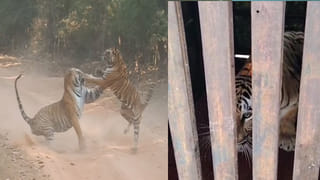 Monsoon: జూన్‌ 12న రాష్ట్రానికి నైరుతి రాక.. మరో వారంలో మండే ఎండలకు గుడ్ బై..!