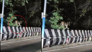 Andhra Pradesh: గంటల వ్యవధిలో తండ్రీ, కొడుకులు మృతి.. అంతులేని విషాదంలో కుటుంబం