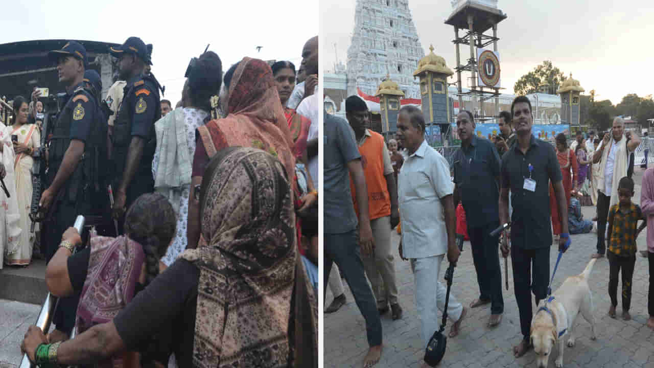 Tirumala Temple: తిరుమలలో హై అలెర్ట్.. టెంపుల్ టౌన్ లో ఏరియా డామినేషన్ పై ఫోకస్.