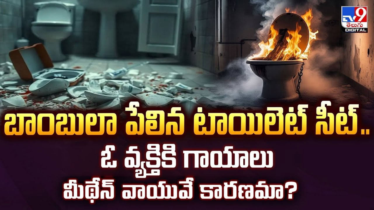 బాంబులా పేలిన టాయిలెట్‌ సీట్‌.. ఇక ప్రశాంతంగా అక్కడ కూడా కూర్చోలేమా !!