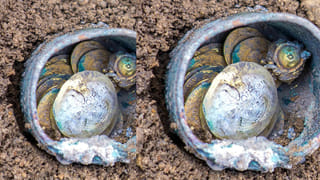 Viral video: బదిలీపై వెళ్తున్న పోలీస్.. వెళ్లొదంటూ వెక్కివెక్కి ఏడ్చిన జనం.. వైరల్‌ అవుతున్న వీడియో!