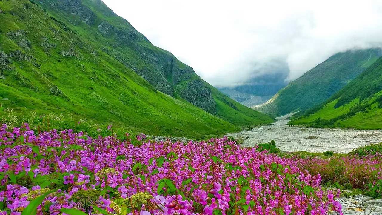 మీరు మీ స్నేహితులు లేదా బంధువులతో ఎంజాయ్ చేయాలి అనుకుంటే కనాటల్ బెస్ట్. ఇక్కడి అందమైన లోయలు, పూలతోటలు, సెలయేళ్లు పర్యాటకులను ఎంతగానో ఆకర్షిస్తాయి.అలాగే హిల్ స్టేషన్స్, దట్టమైన అడువులు, అందమైన ఆకాశాన్ని చూస్తు ఎంజాయ్ చేయవచ్చు.