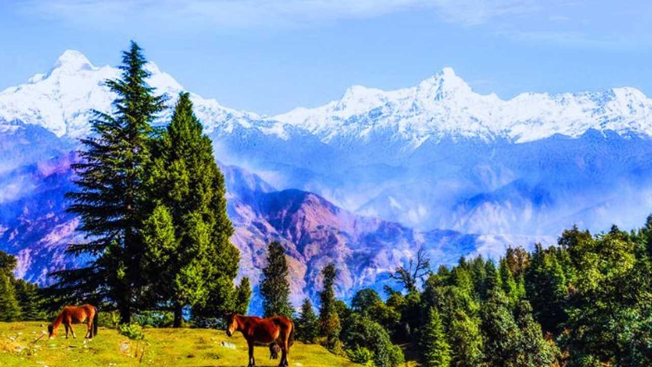 సాహస యాత్రికులకు స్వర్గధామం మున్సియారి . ఇక్కడికి వెళ్లాలి అనుకునే వారు చాలా ఎంజాయ్ చేస్తారంట. ఉత్కంఠ భరితమైన ట్రెక్కింగ్ ఆనందాన్నిఇస్తుంది.