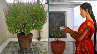 Poverty: అష్టదరిద్రాలు అంటే ఏమిటి?.. ఇవి పట్టుకుంటే సర్వనాశనం తప్పదు.. వీటి నుంచి ఎలా తప్పించుకోవాలి?