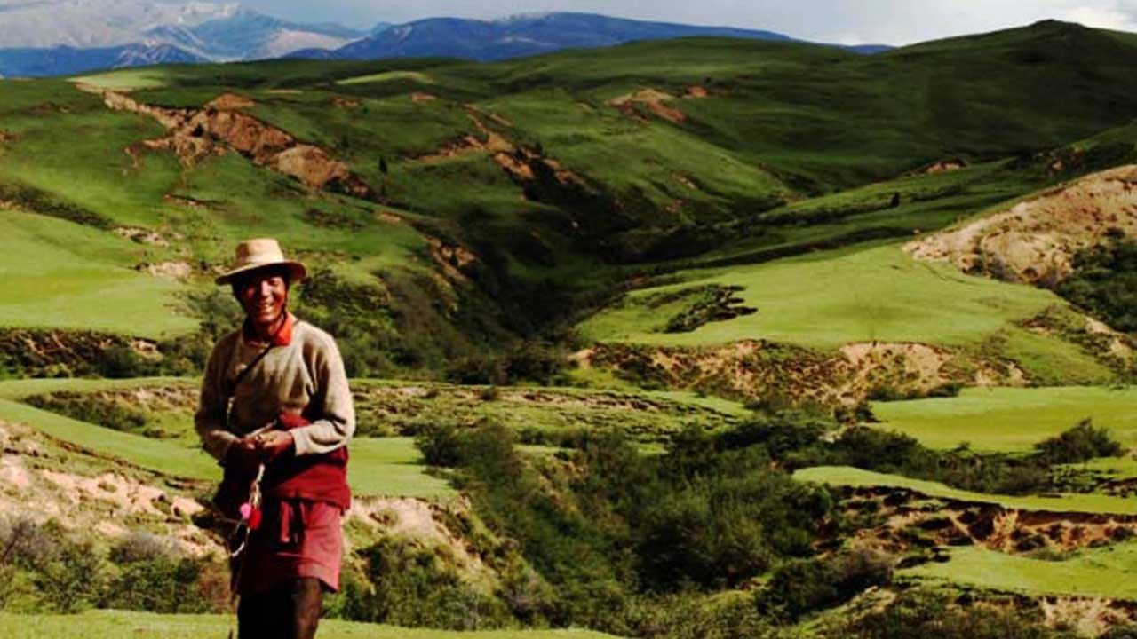 ట్రెక్కింగ్ ఆనందించాలి అనుకునే వారికి హిమాచల్ ప్రదేశ్లోని ధరంగ్ కోట్ బెస్ట్ టూరిస్ట్ ప్లేస్. ఇది అందమైన పర్వతాలు, కేప్లతో పర్యాటకులను తెగ ఆకట్టుకుంటుంది. ఇక్కడి పచ్చని చెట్లు చూడటానికి చాలా అందంగా ఉంటాయి.