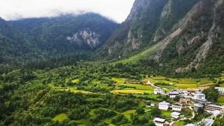 పల్లెల్లో దొరికే ఈత పండ్లు తెలుసా..తింటే పుట్టెడు లాభాలు