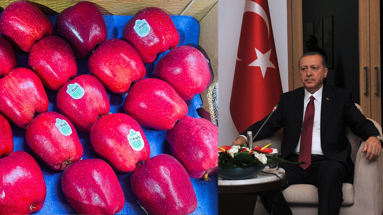 మా జోలికొస్తే అంతే.. టర్కీని చావు దెబ్బ కొడుతున్న సామాన్య భారతీయులు!