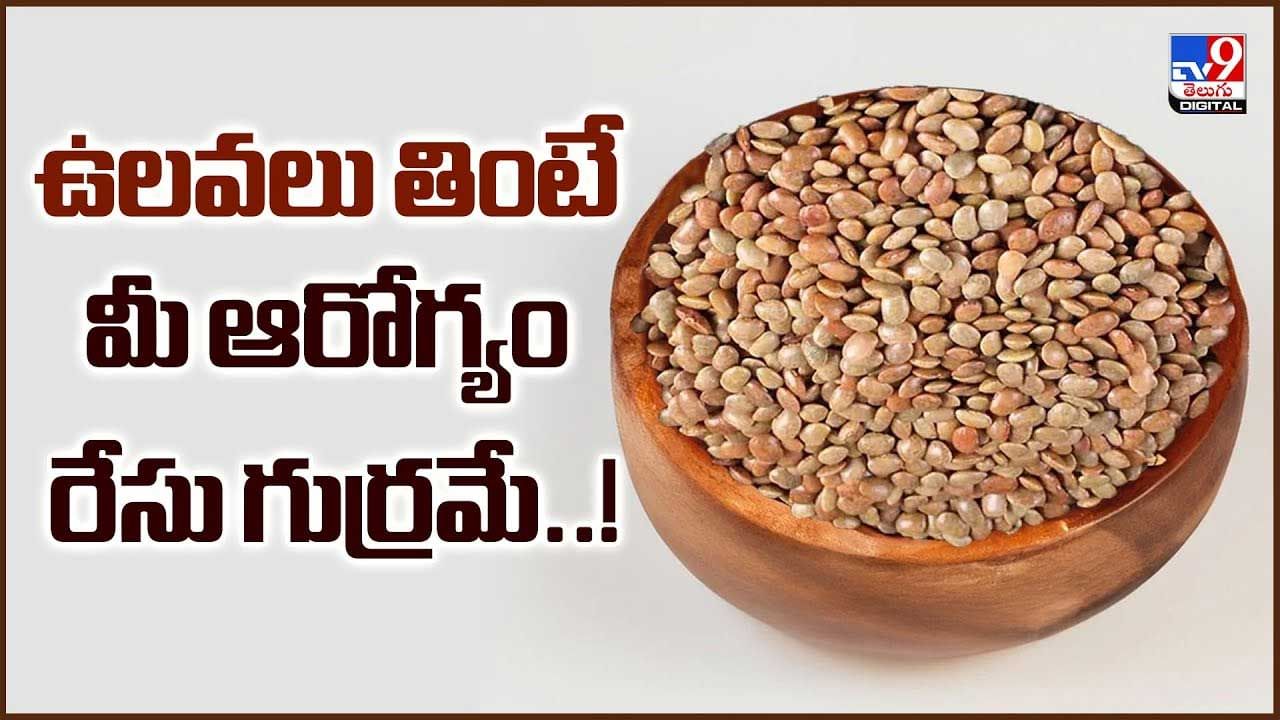 ఉలవలు తింటే మీ ఆరోగ్యం రేసు గుర్రమే..వీడియో