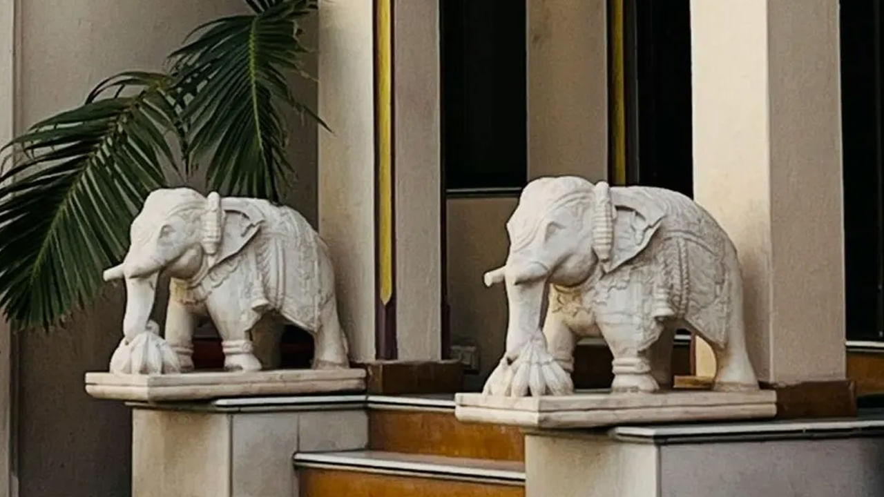 ప్రవేశద్వారం వద్ద ఏనుగు శిల్పాలు: అనేక పురాతన హిందూ భవనాల ప్రవేశ ద్వారాల వద్ద రెండు భారీ రాతి ఏనుగులు వాటి తొండాలను పైకి లేపి ఉండటం సర్వసాధారణం. వాస్తు ప్రకారం భవనం మధ్యలో ఉత్తరం , దక్షిణం వైపు ముఖంగా ఏనుగు విగ్రహాలను ఉంచాలి. ఇలా చేయడం ప్రజాదరణ, సమృద్ధి, శక్తిని సూచిస్తుంది.