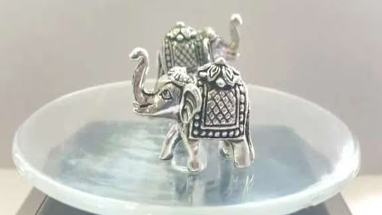 వెండి ఏనుగు విగ్రహం: హిందూ మతంలో వెండి ఏనుగును అదృష్టం, శ్రేయస్సు, శక్తికి చిహ్నంగా భావిస్తారు. వీటిని ఇంటి మధ్యలో ఉత్తర దిశకు ఎదురుగా ఉంచవచ్చు. ఈ ఏనుగు విగ్రహం సానుకూల శక్తిని, విజయాన్ని,  అదృష్టాన్ని ఆహ్వానిస్తుందని కూడా చెబుతారు.
