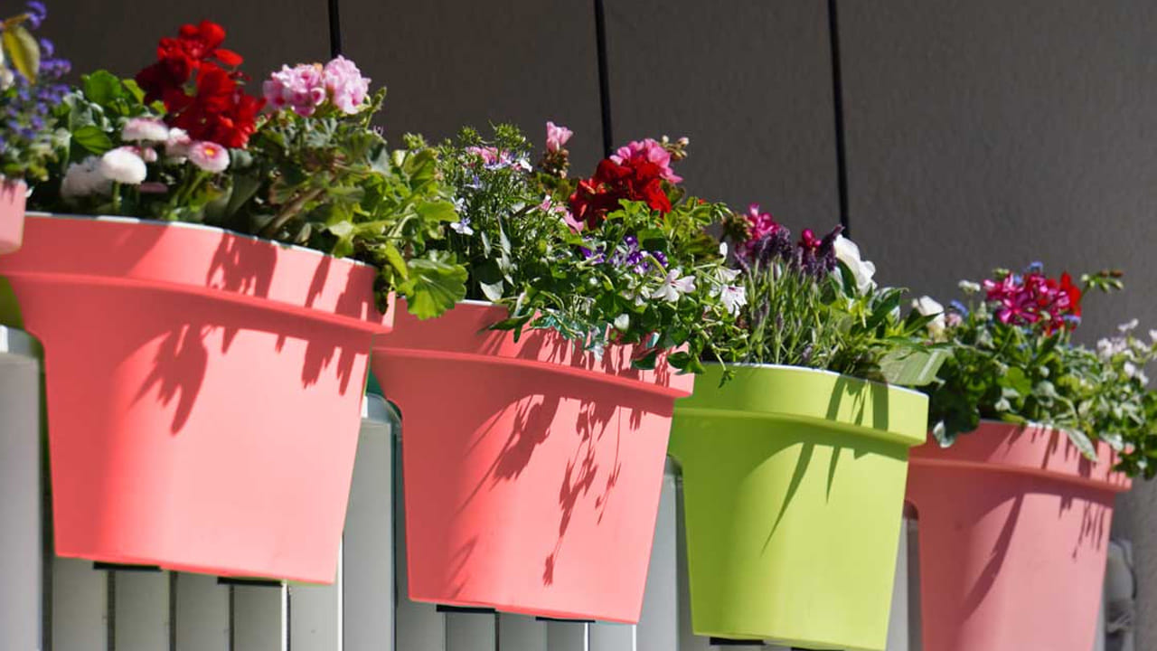 దంపతుల మధ్య ప్రేమ సరిగ్గా లేకపోతే తమ పడకగదిలో గాజు పాత్రలో గులాబీ మొక్కను ఉంచుకోవాలి. నీటిని ప్రతిరోజూ మార్చాలి. ఇలా చేయడం ద్వారా భార్యాభర్తల మధ్య కలత తీరి ప్రేమ మళ్లీ మొదలవుతుంది.