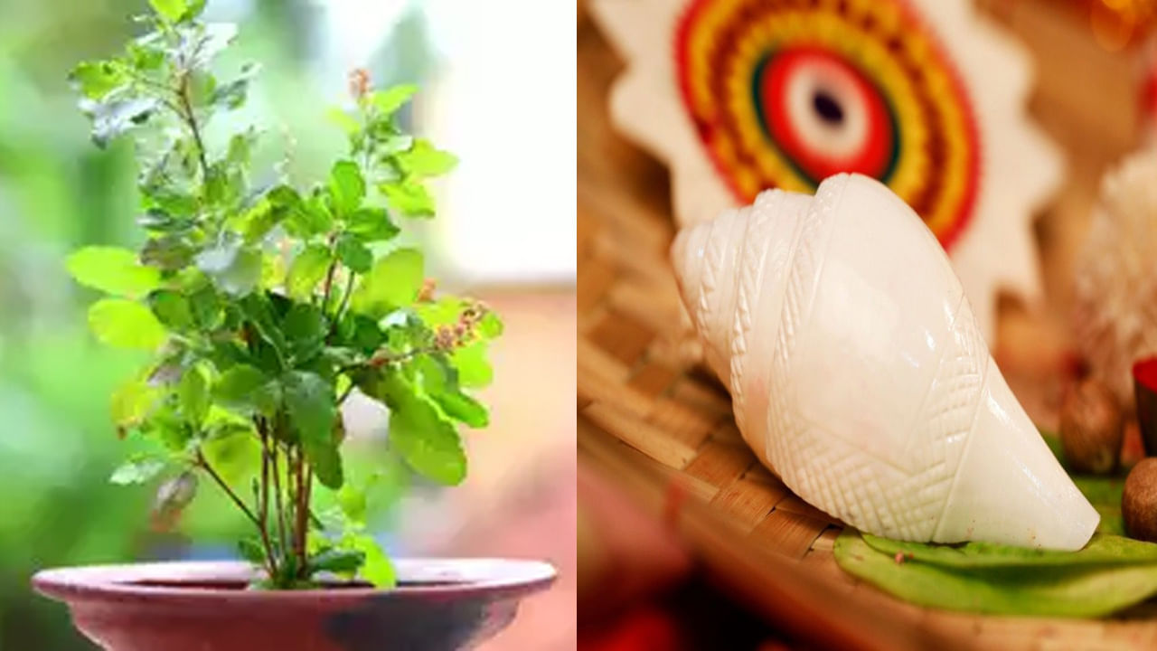Vastu Tips: మనసిక ఒత్తిడితో ఇబ్బంది పడుతున్నారా.. తులసి, శంఖం ఇంట్లో ఈ దిశలో పెట్టుకోండి.. శుభఫలితం మీ సొంతం..