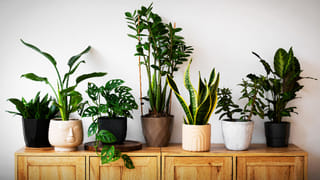 Bhagavad Gita on War: గీత ప్రకారం ఎప్పుడు, ఎలా యుద్ధం చేయాలి.. శిక్షిస్తారనే భయాన్ని ఎలా సృష్టించాలంటే..