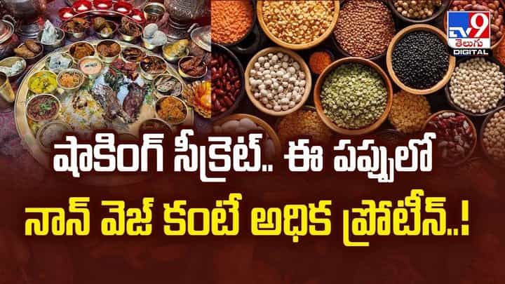 షాకింగ్ సీక్రెట్.. ఈ పప్పులో నాన్ వెజ్ కంటే అధిక ప్రోటీన్ వీడియో షాకింగ్ సీక్రెట్.. ఈ పప్పులో నాన్ వెజ్ కంటే అధిక ప్రోటీన్ వీడియో