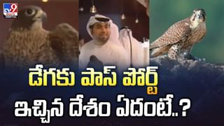బస్సును ఢీ కొట్టిన బైక్..సీన్ కట్ చేస్తే వీడియో
