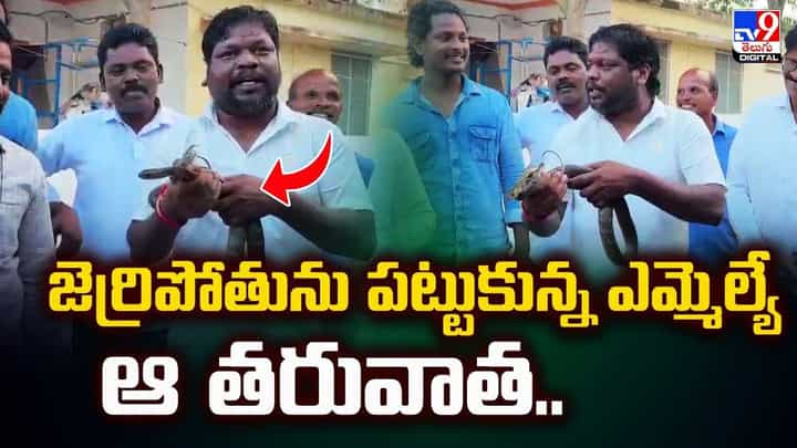 జెర్రీపోతు పట్టుకున్న ఎమ్మెల్యే.. ఆ తర్వాత వీడియో జెర్రీపోతు పట్టుకున్న ఎమ్మెల్యే.. ఆ తర్వాత వీడియో