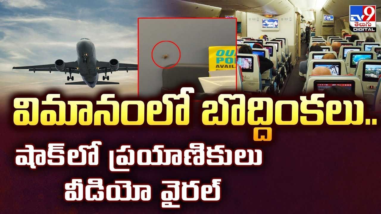 విమానంలో బొద్దింకలు.. షాక్లో ప్రయాణికులు వీడియో వైరల్ విమానంలో బొద్దింకలు.. షాక్లో ప్రయాణికులు వీడియో వైరల్