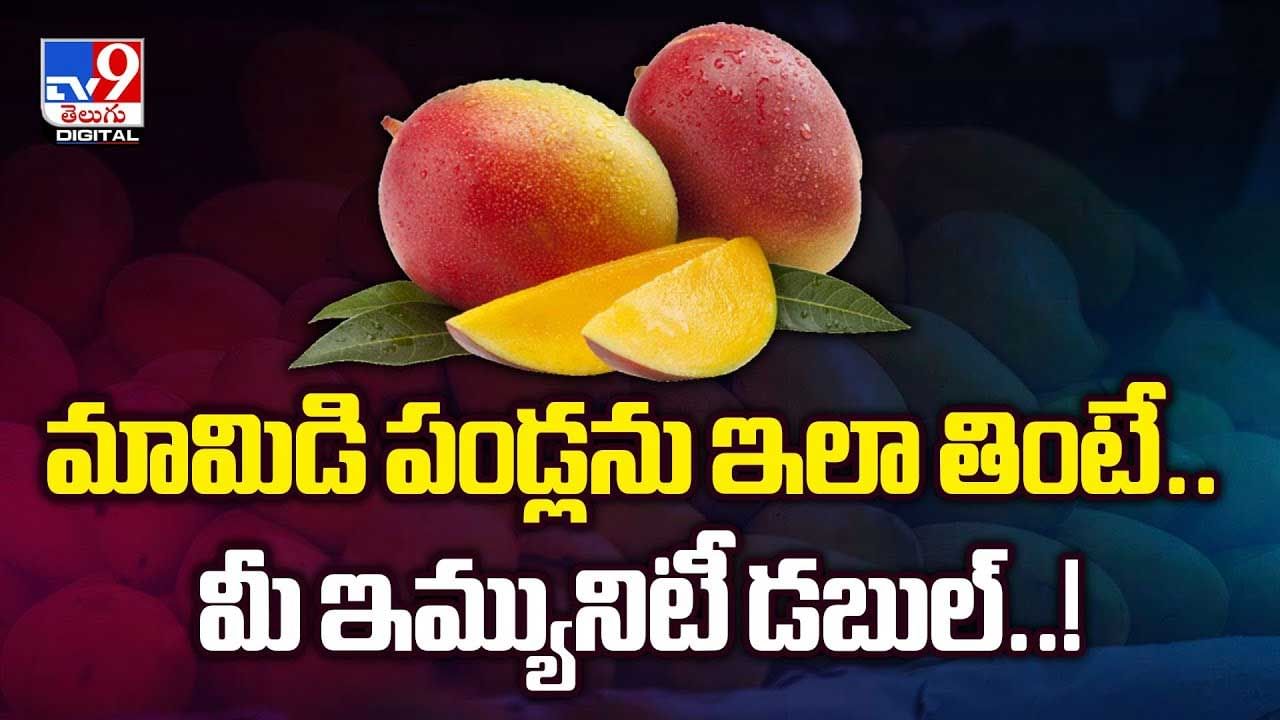 మామిడి పండ్లను ఇలా తింటే.. మీ ఇమ్యునిటీ డబుల్ వీడియో