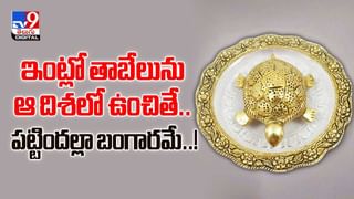 ఈ పండు..మీ గుండెకు శ్రీరామ రక్ష వీడియో