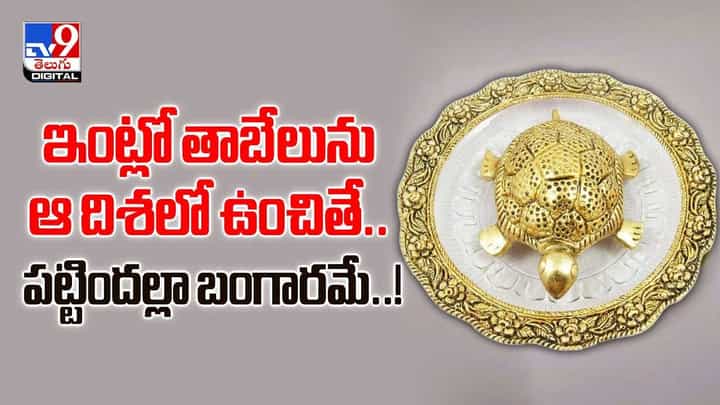 ఇంట్లో తాబేలును ఆ దిశలో ఉంచితే .. పట్టిందల్లా బంగారమే వీడియో ఇంట్లో తాబేలును ఆ దిశలో ఉంచితే .. పట్టిందల్లా బంగారమే వీడియో