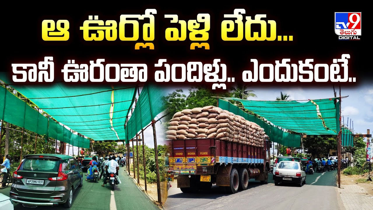 ఆ ఊర్లో పెళ్లి లేదు.. కానీ ఊరంతా పందిళ్లు.. ఎందుకంటే ??