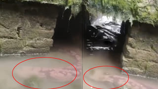 Viral: పొలంలో వాగు సమీపాన ఏదో మెరుస్తూ కనిపించింది.. ఏంటని వెళ్లి చూడగా