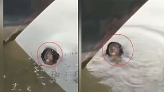 Viral News: భవిష్యత్తులో రోజుకు 25 గంటలట…! కాల గడియారం మారబోతుంది