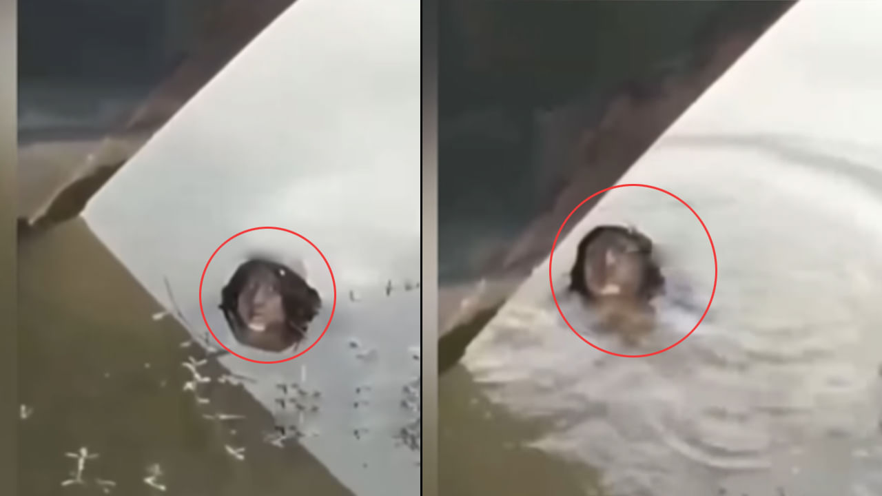 Viral Video: నీటిలో తేలియాడుతున్న మర్మమైన బొమ్మ.. దగ్గరకు వెళ్లి చూడగా.. అమ్మబాబోయ్