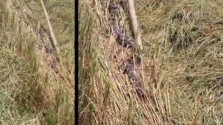 Video: భారీ వర్షం.. ఈదురు గాలులు.. చెర్లపల్లి టెర్మినల్‌లో ఎగిరిపడ్డ రేకులు!