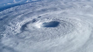 Andhra: 110 ఏళ్ల వయసున్న చెట్టును పడగొట్టింది వాళ్లే.. తిరిగి బతికించే యత్నం చేస్తుంది వాళ్లే