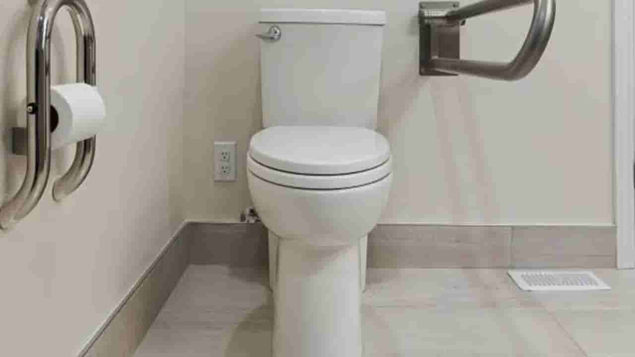 Noida: బాత్రూంలోకి వెళ్లిన వ్యక్తికి ఊహించని షాక్.. ఫ్లష్ ఆన్ చేయగా..