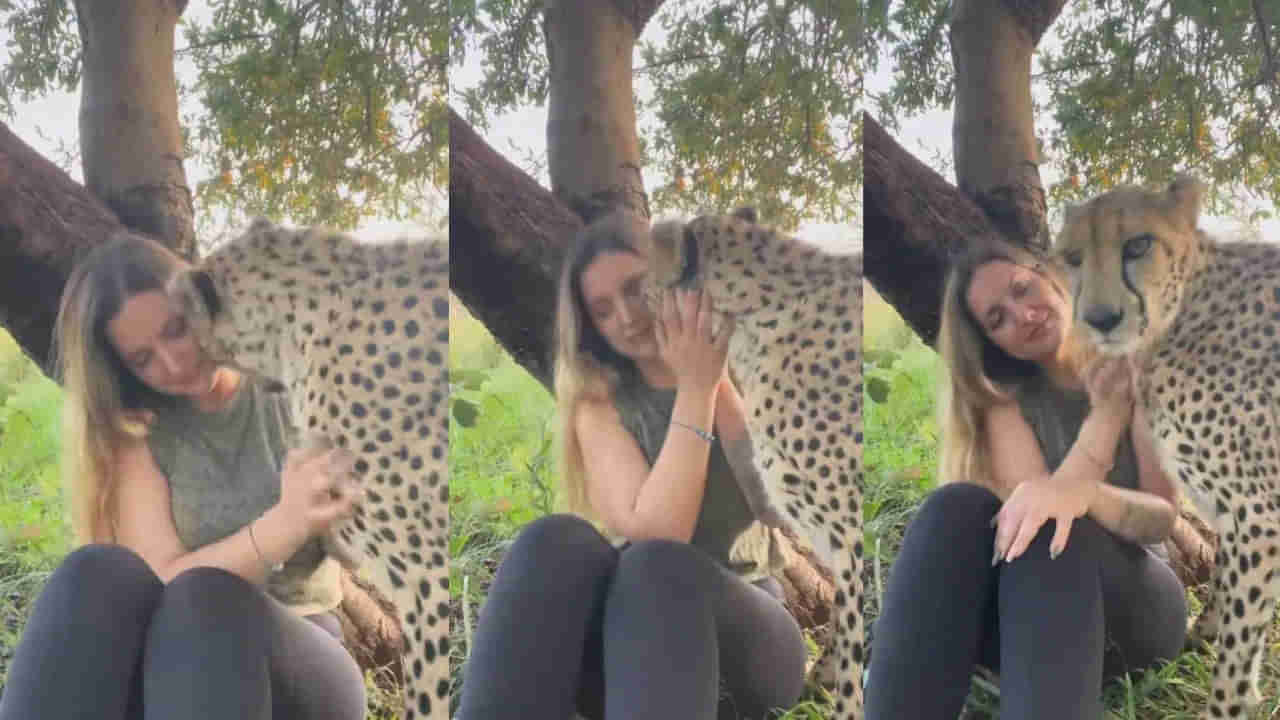 Video: చిరుతను కౌగిలించుకొని.. ముద్దు పెట్టబోయింది! ఆ తర్వాత చూడండి ఏమైందో..?