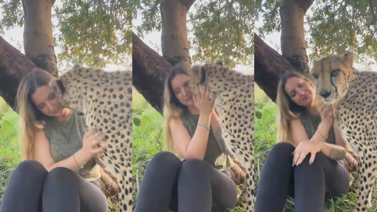 Video: చిరుతను కౌగిలించుకొని.. ముద్దు పెట్టబోయింది! ఆ తర్వాత చూడండి ఏమైందో..?