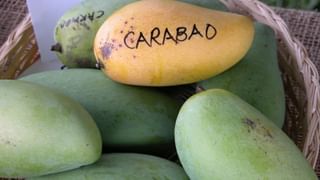 Aloo Bajji Recipe: వర్షం పడేటప్పుడు వేడి వేడిగా ఇలా ఆలూ బజ్జి చేసుకోండి.. టేస్ట్ అదిరిపోద్ది..!