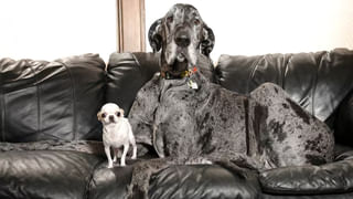 బ్యాంక్ నుంచి ఎదో మెసేజ్.. ఓపెన్ చేసి చూడగా దెబ్బకు.. ప్రపంచంలోనే ధనవంతుడైన రైతు