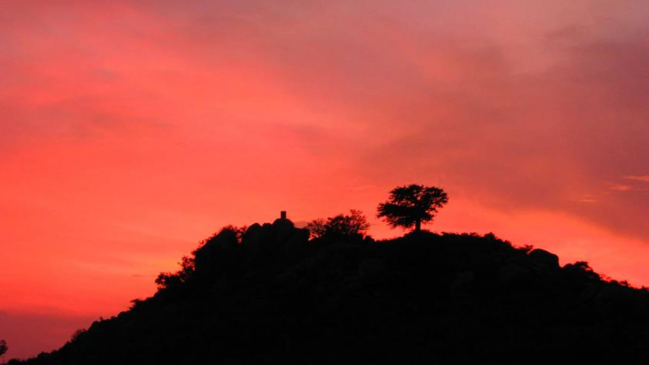 1.యెలగిరి, తమిళనాడు


తమిళనాడులోని వెల్లూరు జిల్లాలో ఉన్న యెలగిరి, నిర్మానుష్యమైన కొండ స్థలంగా పర్యాటకులను ఆకర్షిస్తుంది. నాలుగు కొండల మధ్య ఉన్న ఈ ప్రాంతం స్వచ్ఛమైన తేనె, సుందరమైన లోయలతో ప్రసిద్ధి చెందింది. పుంగనూర్ సరస్సులో బోటింగ్, స్వామిమలై హిల్ వద్ద ట్రెక్కింగ్, జలగంపరై జలపాతం సందర్శన ఇక్కడి ప్రధాన ఆకర్షణలు. మే నెల చివరిలో జరిగే సమ్మర్ ఫెస్టివల్ సాంస్కృతిక కార్యక్రమాలు, పుష్ప ప్రదర్శనలతో పర్యాటకులను ఆకట్టుకుంటుంది.