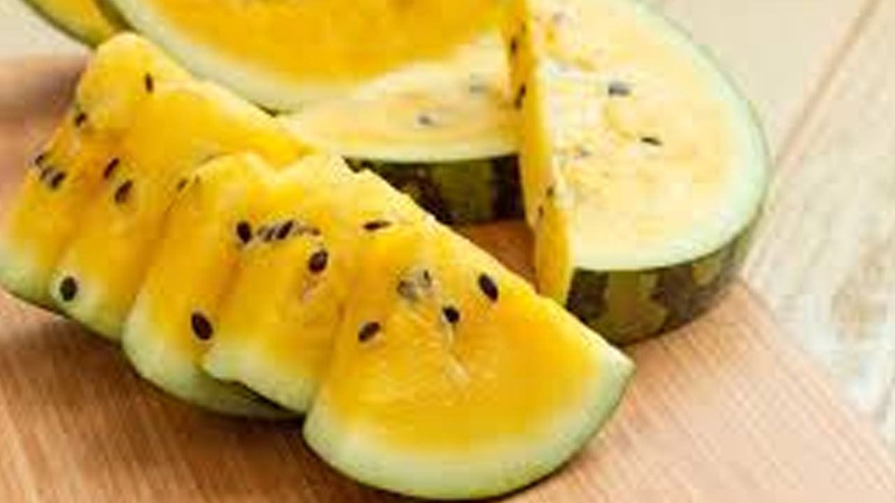 భారతదేశంలో పసుపు పుచ్చకాయ ఎక్కడి నుంచి వచ్చిందంటే..  పసుపు పుచ్చకాయ జన్మ స్థలం ఆఫ్రికా. అక్కడ ఎరుపు రంగు పుచ్చకాయ ఎంత సహజంగా ఉంటుందో.. పసుపు రంగు పుచ్చకాయ కూడా అంతే సహజంగా ఉంటుంది. ఈ పుచ్చకాయను కొన్ని సంవత్సరాల క్రితం భారతదేశానికి దిగుమతి చేసుకుంది. ఇప్పుడు దేశంలోని కొన్ని ప్రాంతాలలో పండిస్తున్నారు. మహారాష్ట్ర, కర్ణాటక, తెలంగాణ, ఆంధ్రప్రదేశ్ వంటి రాష్ట్రాల్లో కొంతమంది రైతులు దీనిని పండించి మార్కెట్‌కు తీసుకువస్తున్నారు. ఇది ఎక్కువగా ఎడారి ప్రాంతాలలో సాగు చేయబడుతుంది. అందుకే దీనిని ఎడారి రాజు అని కూడా పిలుస్తారు.
